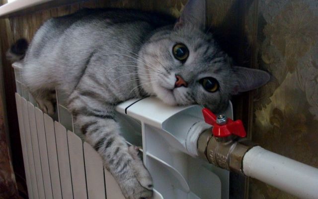 На Ставрополье без отопления остались почти 3 тысячи человек На Ставрополье без отопления остались почти 3 тысячи человек