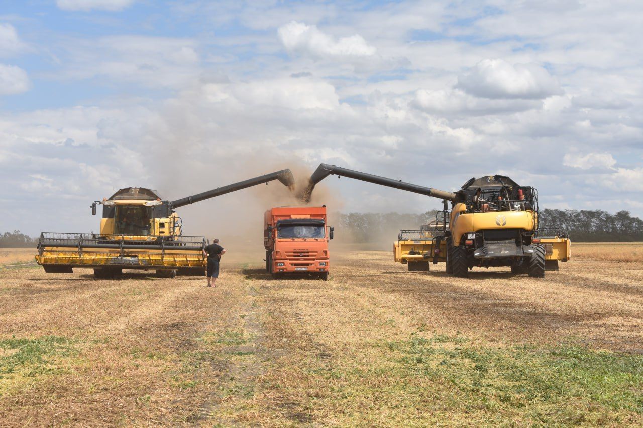 Рекордный урожай зерна собрали в Грачевском округе