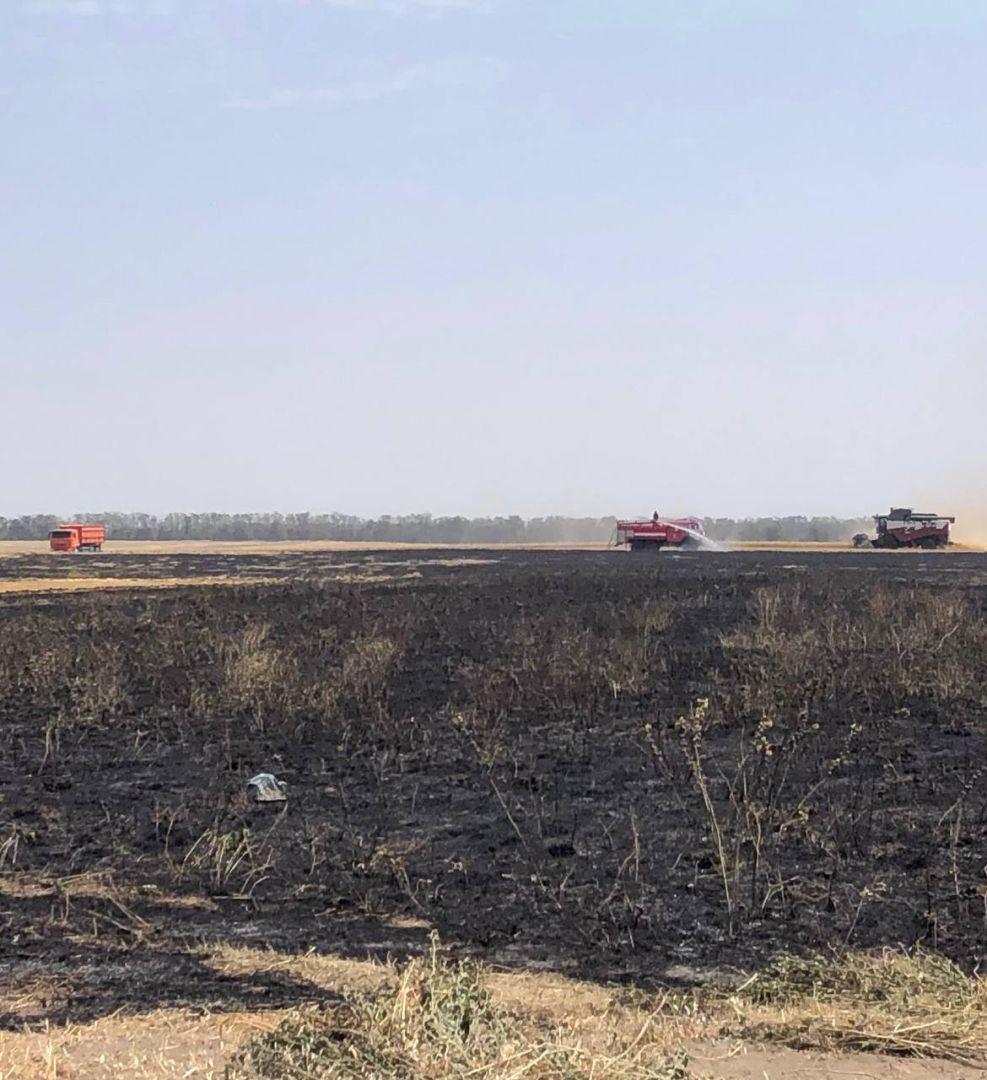 Пшеничное поле спасли от огня в округе Ставрополья