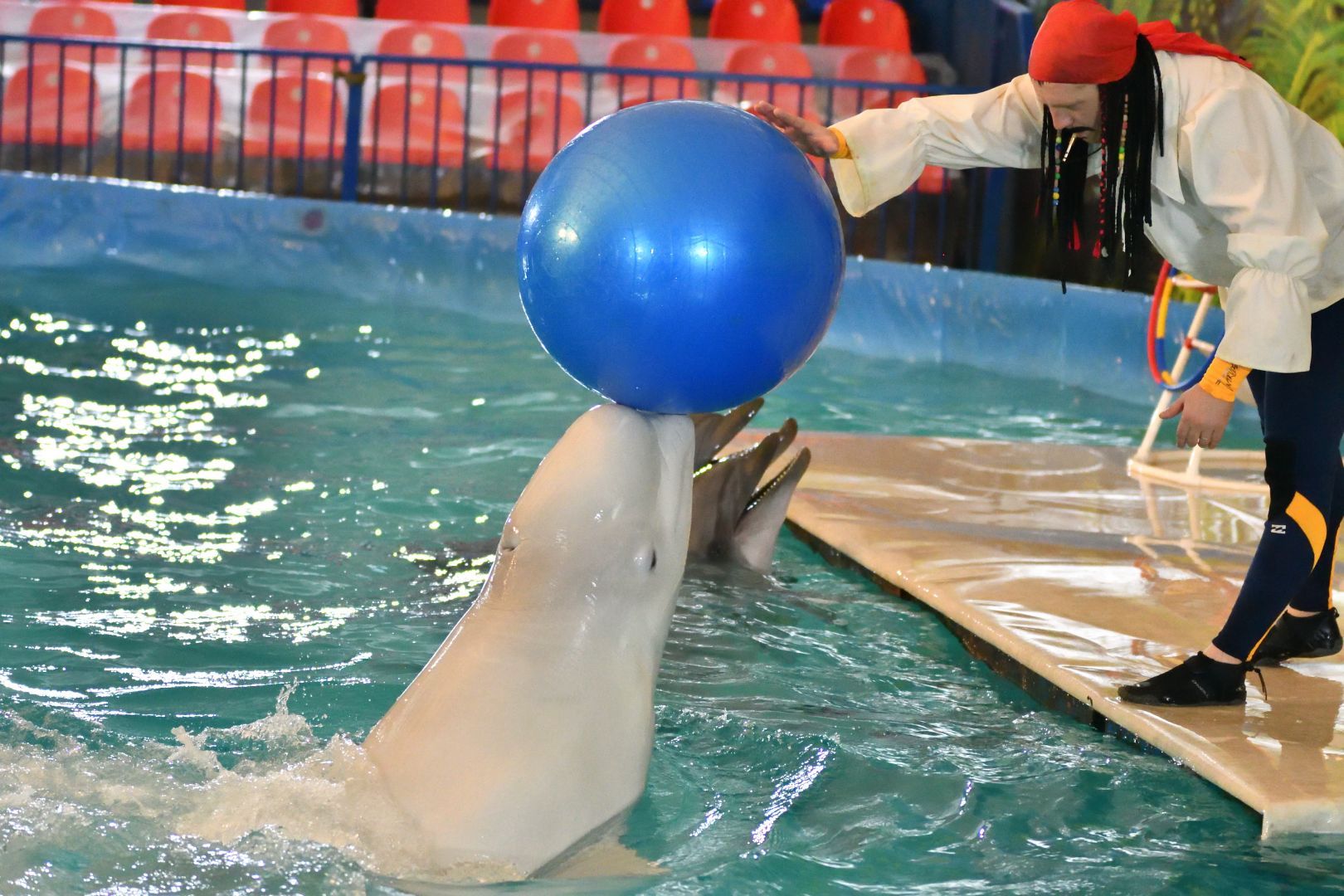 В Ставрополе открылся дельфинарий