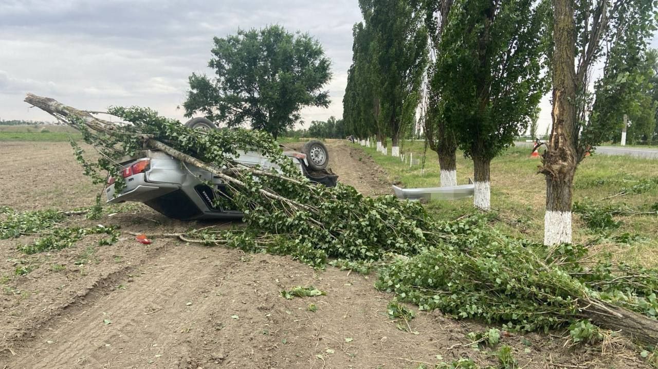 На Ставрополье легковушка влетела в тополь и перевернулась