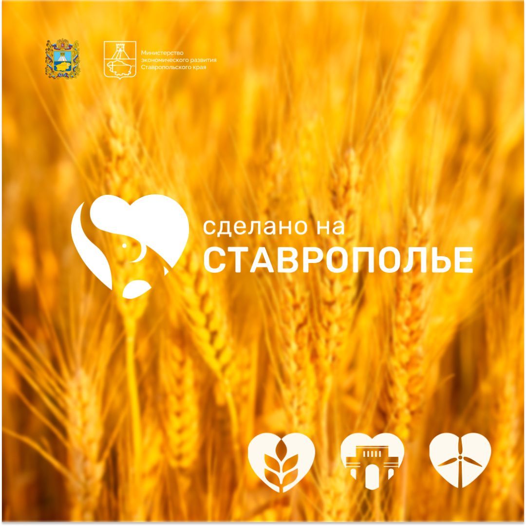 Более 14,5 тыс. товаров Ставрополья представлены на одном из крупных маркетплейсов страны