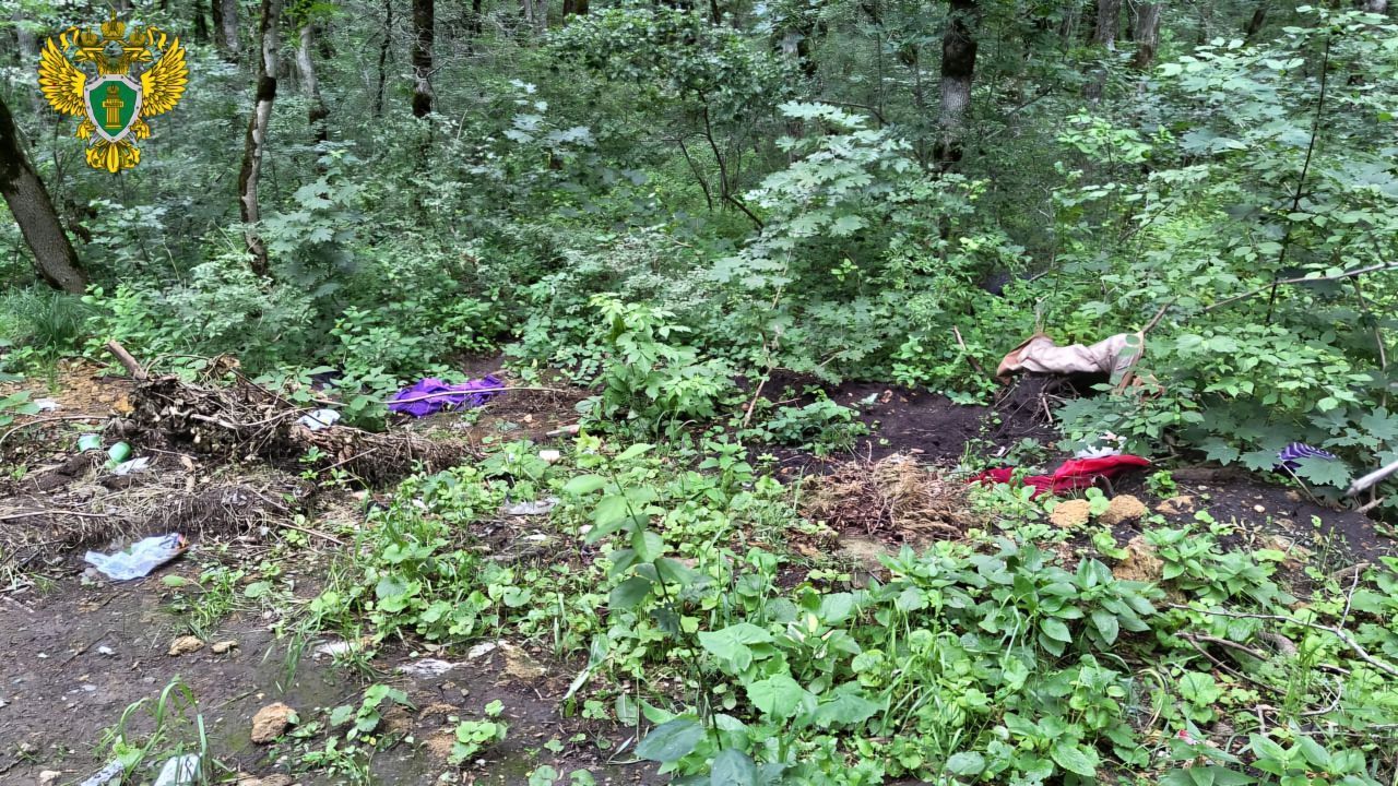 Не помогли даже волонтёры: ставропольское лесничество наказали за мусорные навалы в лесу