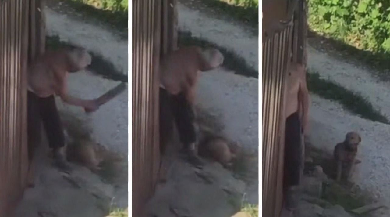 В Кисловодске полиция заинтересовалась живодером