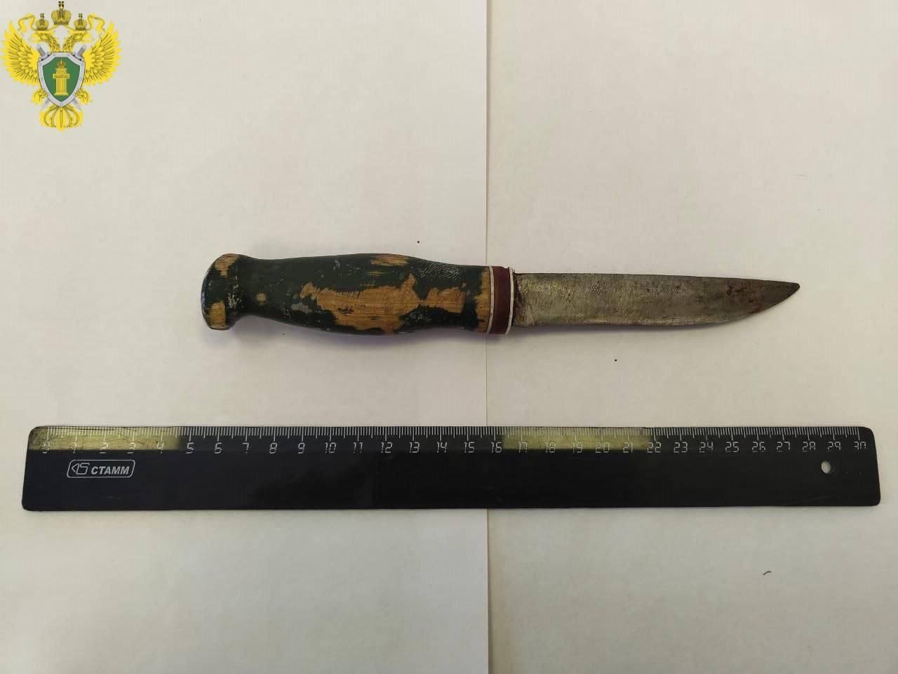 Женщину, ударившую мужа ножом, отправили в колонию