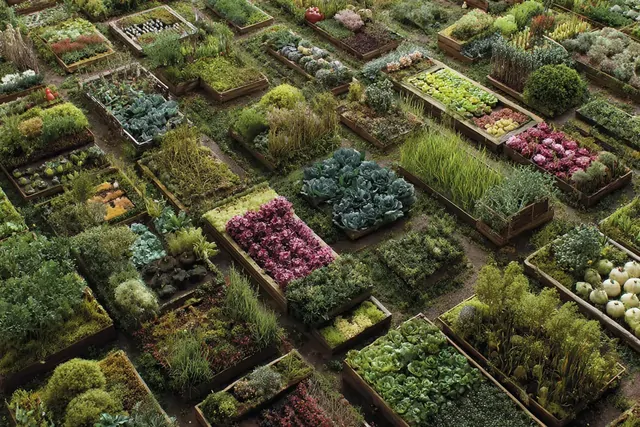 Дача в конце апреля: почему грядки, накрытые плёнкой, дают урожай хуже открытых