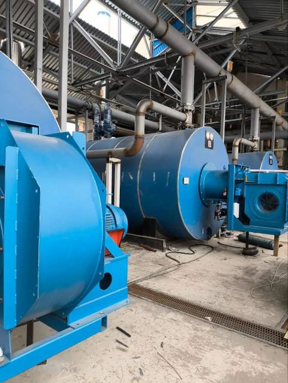 В Предгорном округе запустят тепличный комплекс для круглогодичного выращивания огурцов