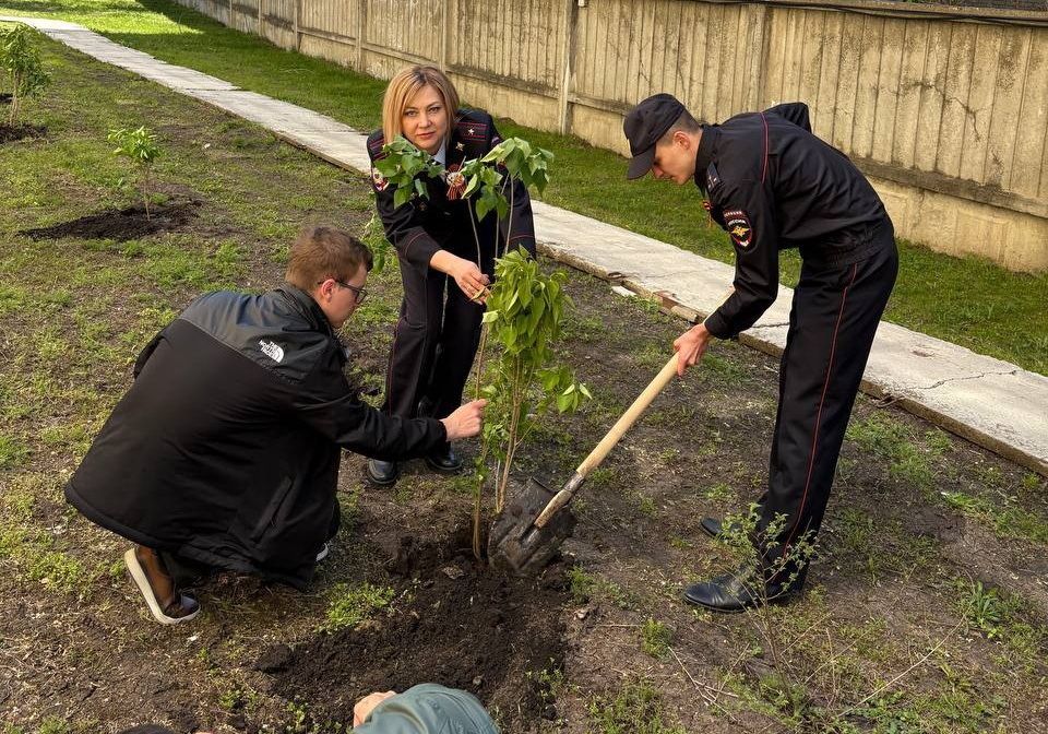 Эксперты-криминалисты высадили сирень в Ставрополе