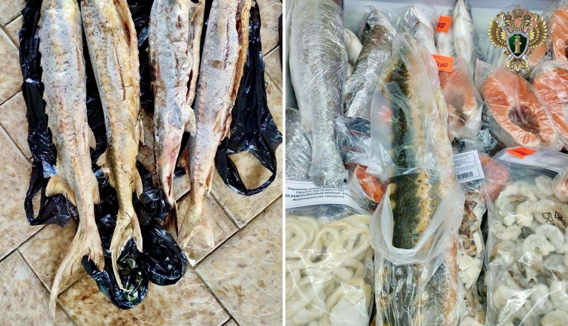 Жительница Ставрополья рискует лишиться свободы из-за торговли осетрами