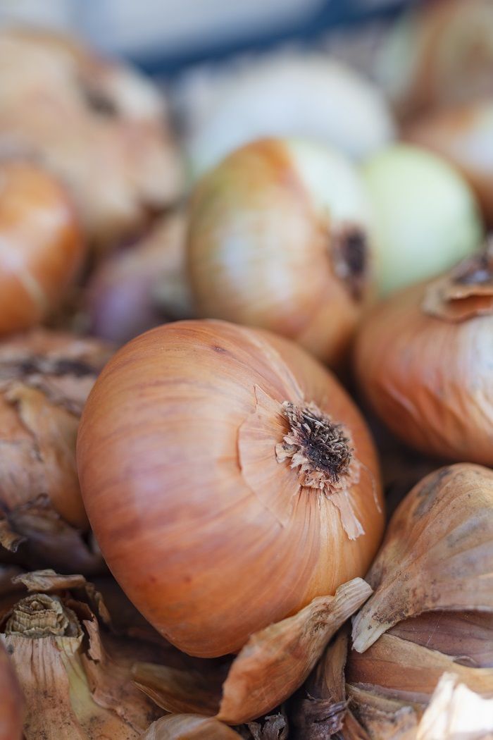 Первые 212 тонн лука собрали в Ставропольском крае