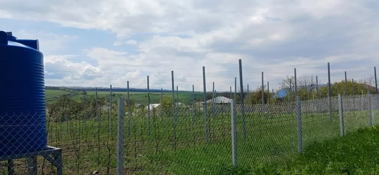 Школьники Предгорья ухаживают за молодым садом