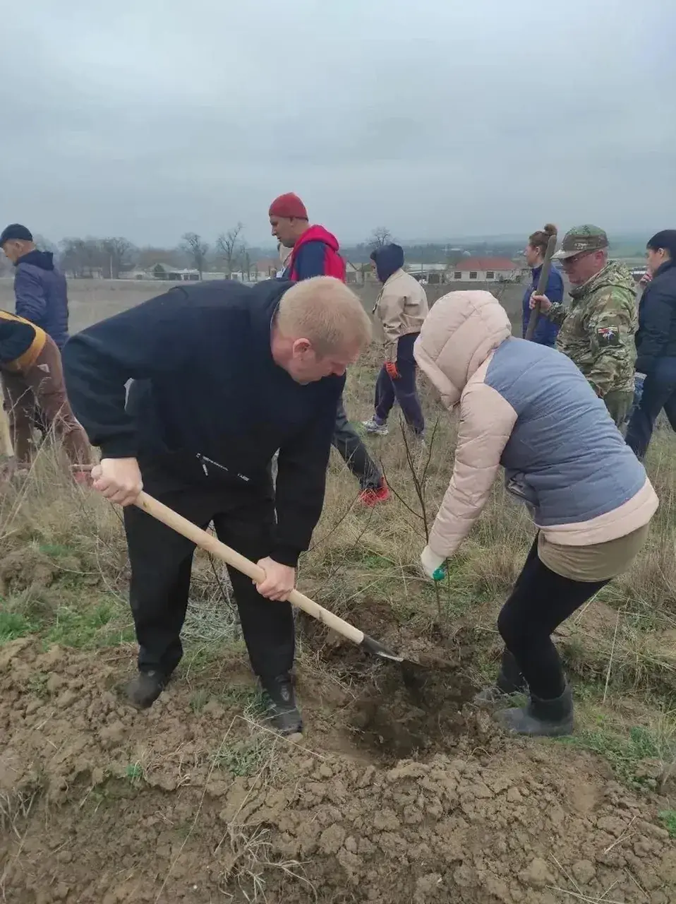Белую акацию посадили на Ставрополье в память о павших в годы ВОВ