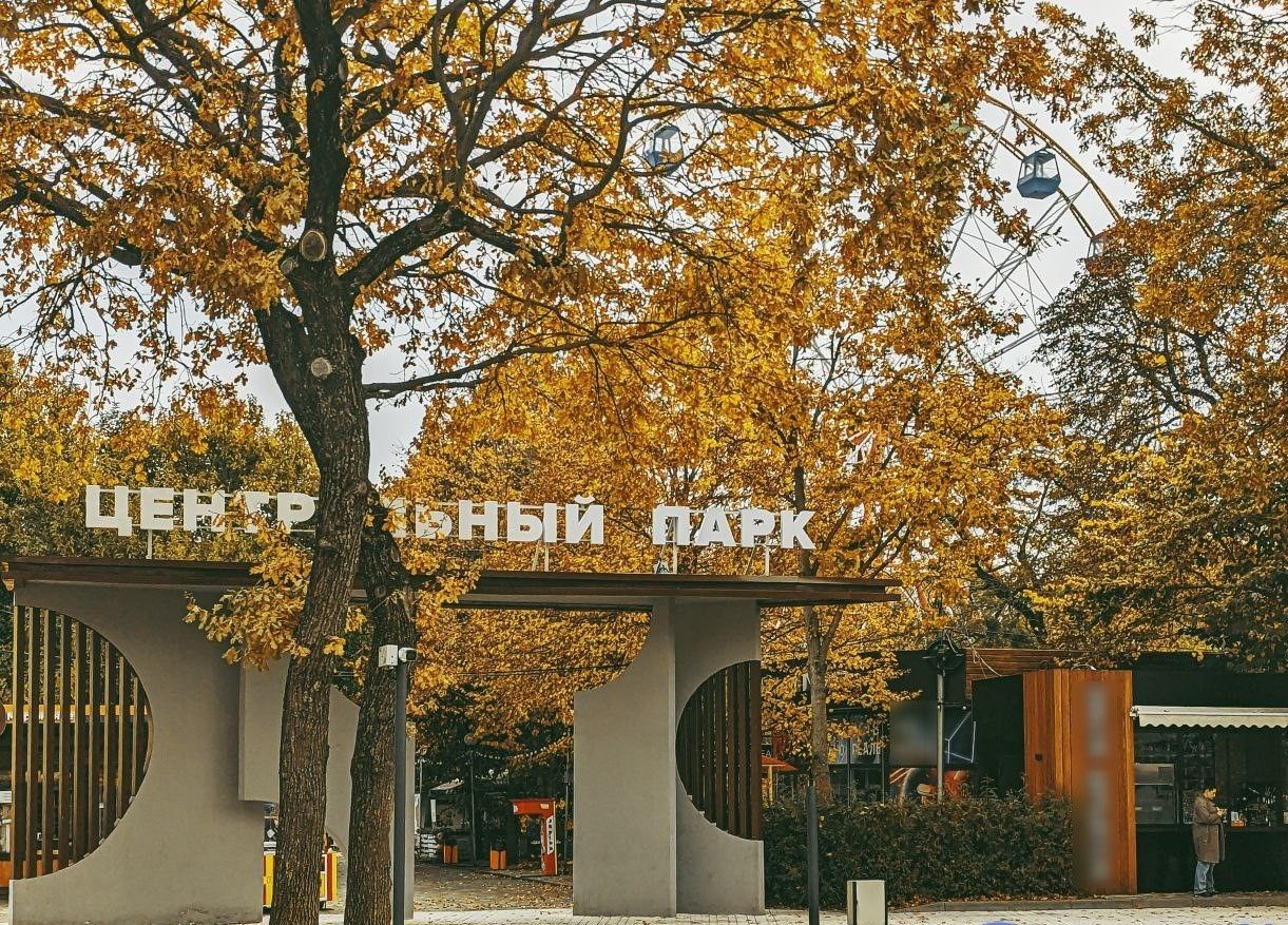 Почти 80 тыс. человек проголосовали за Ставрополь в конкурсе на звание «Культурной столицы России»