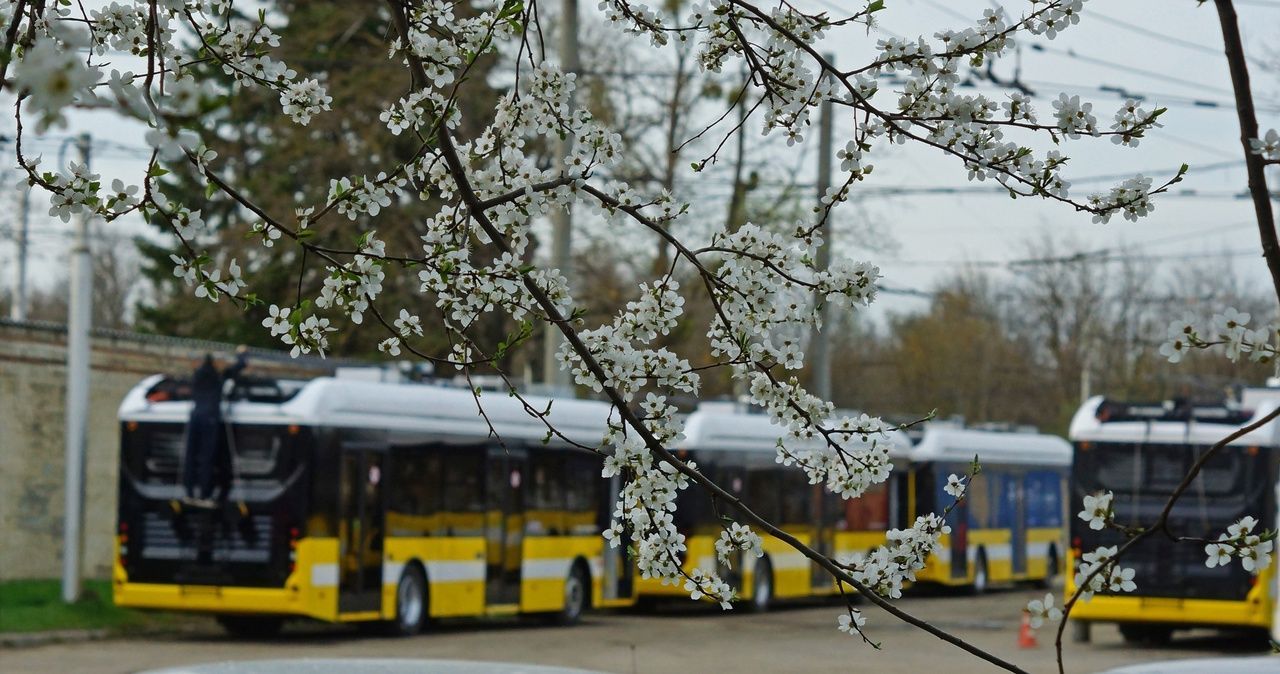 Новые троллейбусы начнут работу в Ставрополе с 1 июля