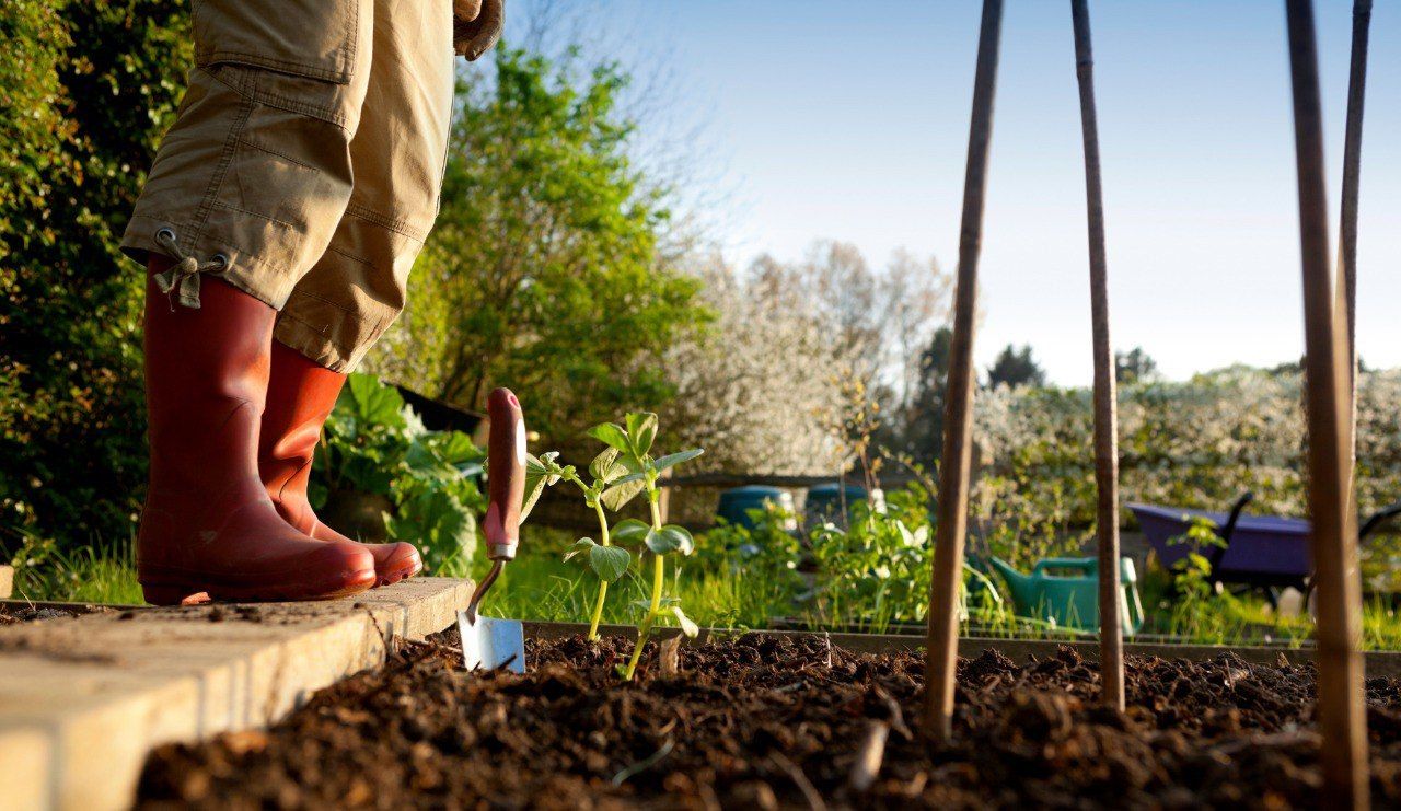 В Ставрополе заявки на субсидии для дачников принимаются до 28 апреля