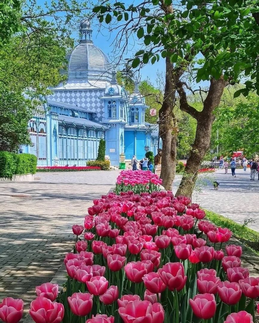 Курортный город с военной историей: Железноводск ждет присвоения почетного звания