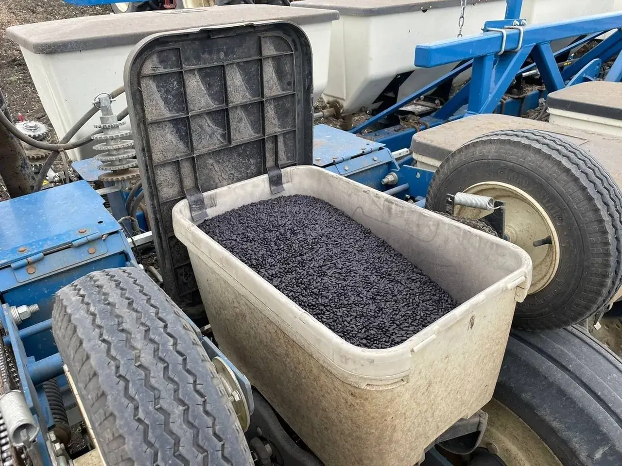 На Ставрополье стартовал сев подсолнечника