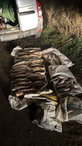 На двух ставропольцев завели уголовное дело после рыбалки