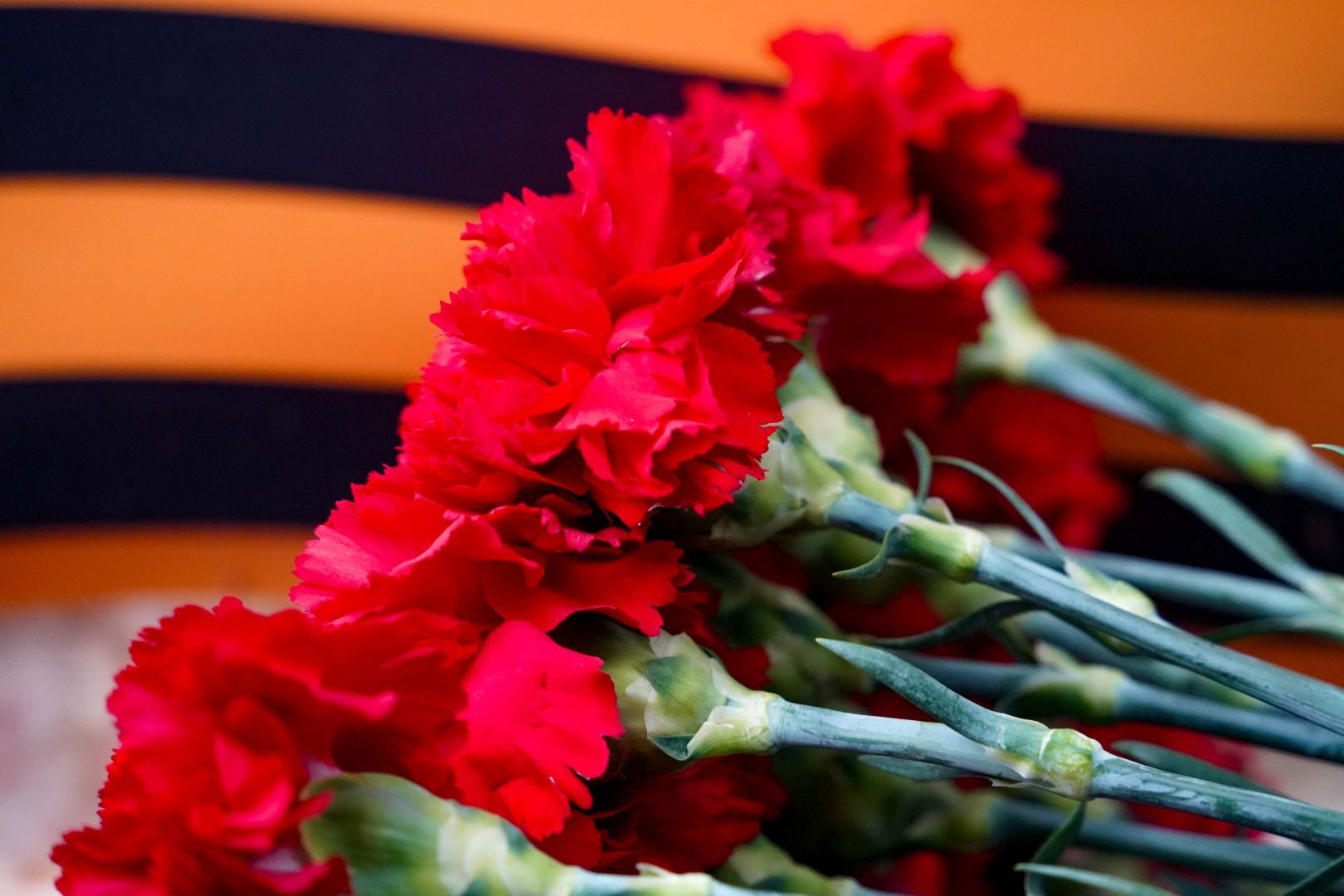 Стену Памяти с 12 тысячами фотографий героев открыли в парке Победы Ставрополя