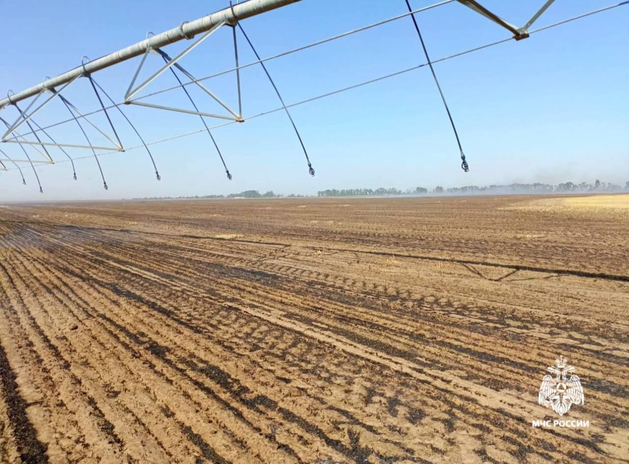 В Левокумском округе потушили пожар на полях с пшеницей