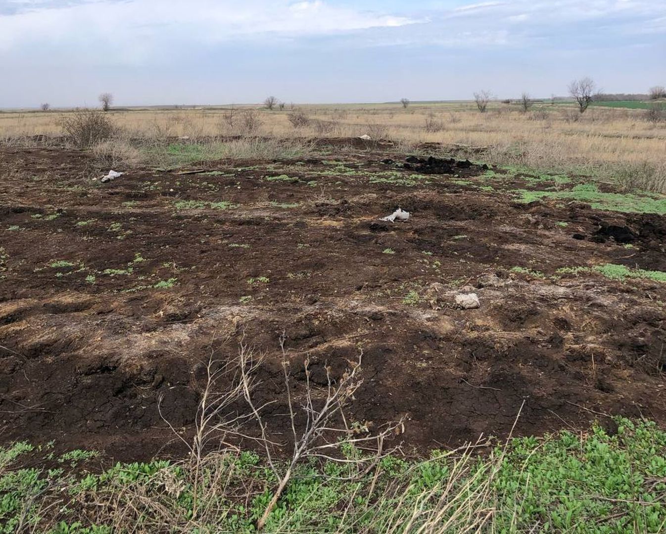 Навоз и сорняки: сельхозугодья засорили в регионе