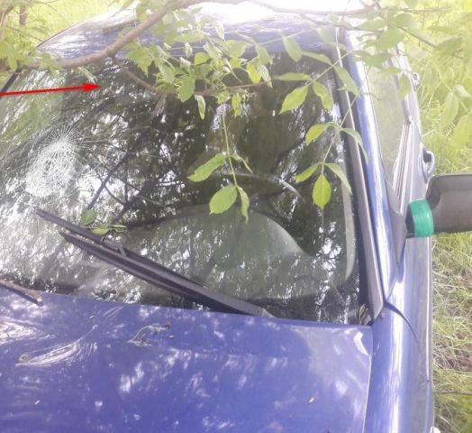 На Ставрополье водитель-лихач на скорости въехал в дерево На Ставрополье водитель-лихач на скорости въехал в дерево