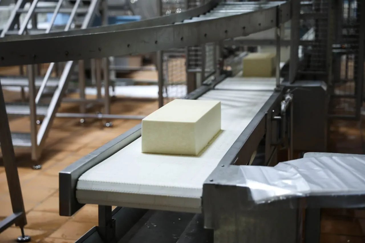 Ставропольские учёные разрабатывают функциональные сыры для здорового питания