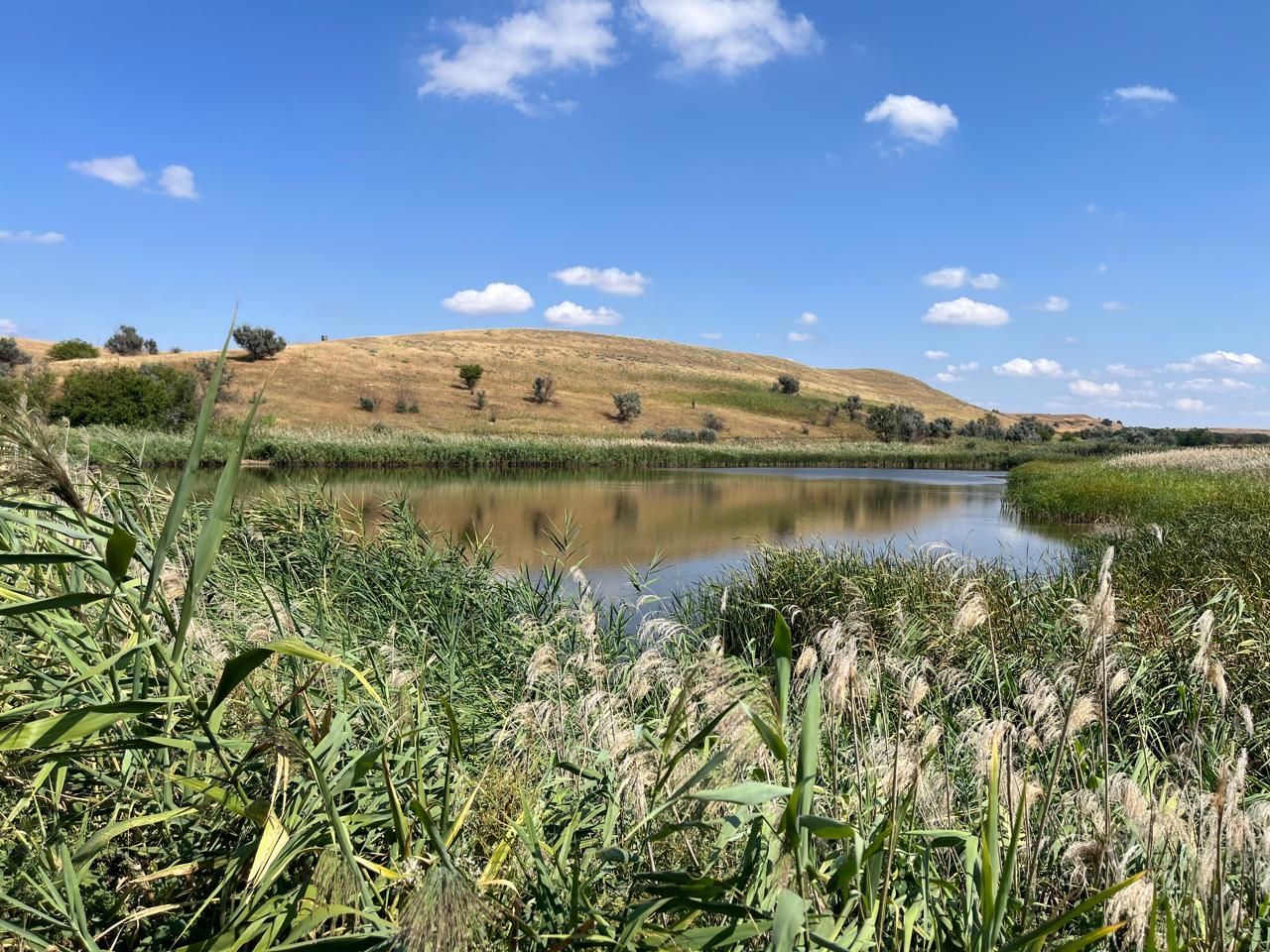 На Ставрополье обследовали 377 бесхозяйных ГТС