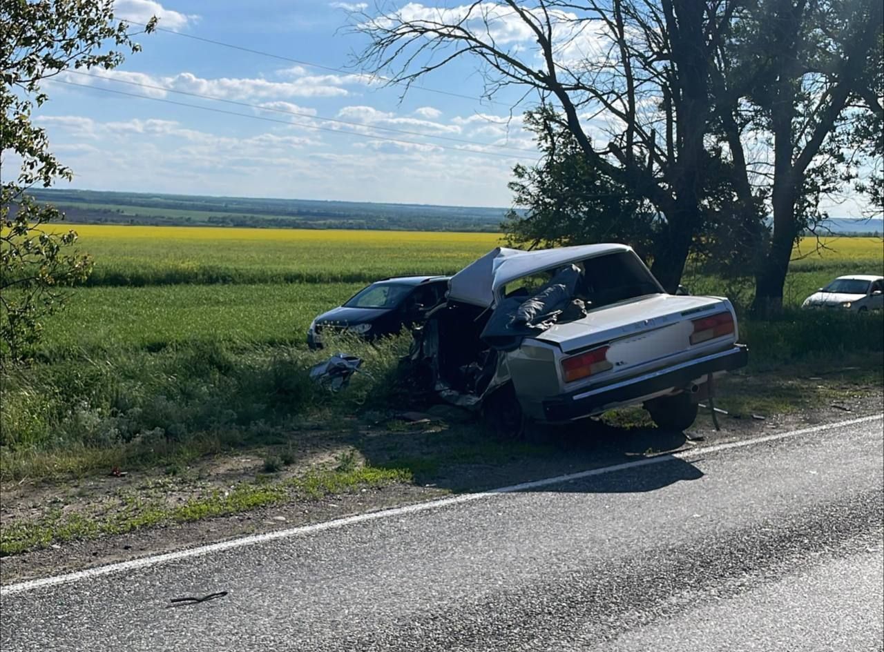 Пожилой водитель погиб при лобовом столкновении с грузовиком на встречной полосе