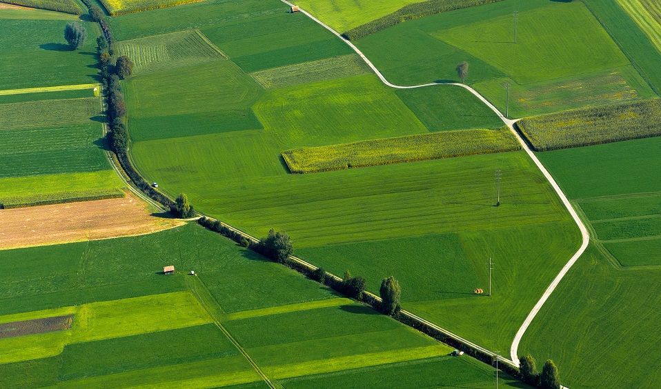 Земельная афера на 1 млн рублей обернулась для предпринимателя уголовным делом