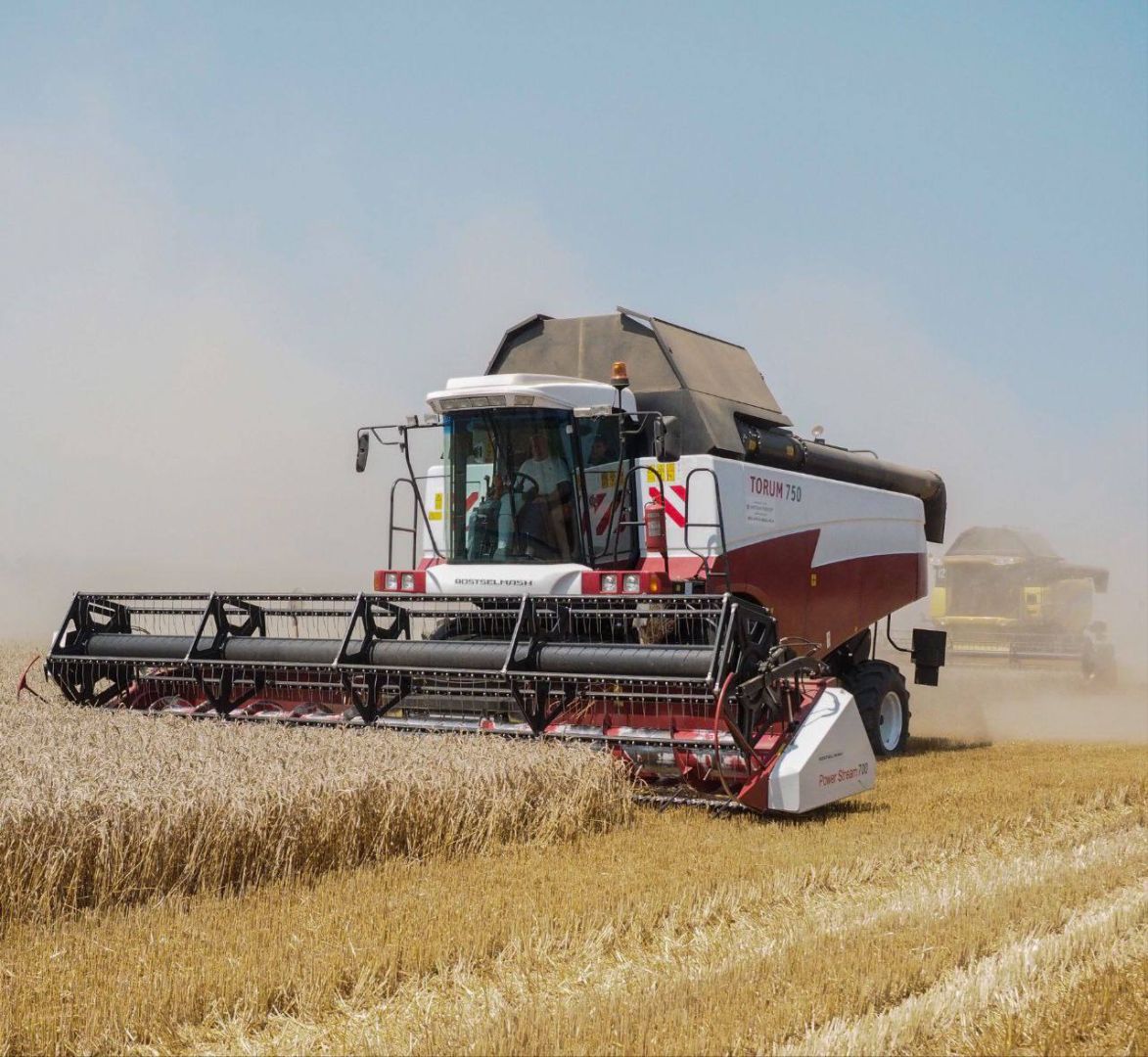 Свыше 10 млн тонн зерна: на Ставрополе собрали исторический максимум урожая