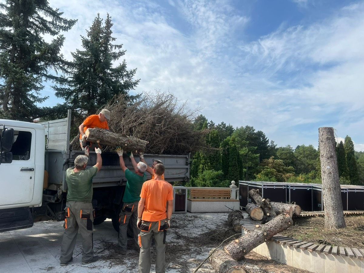 В Кисловодске высадят молодые деревья