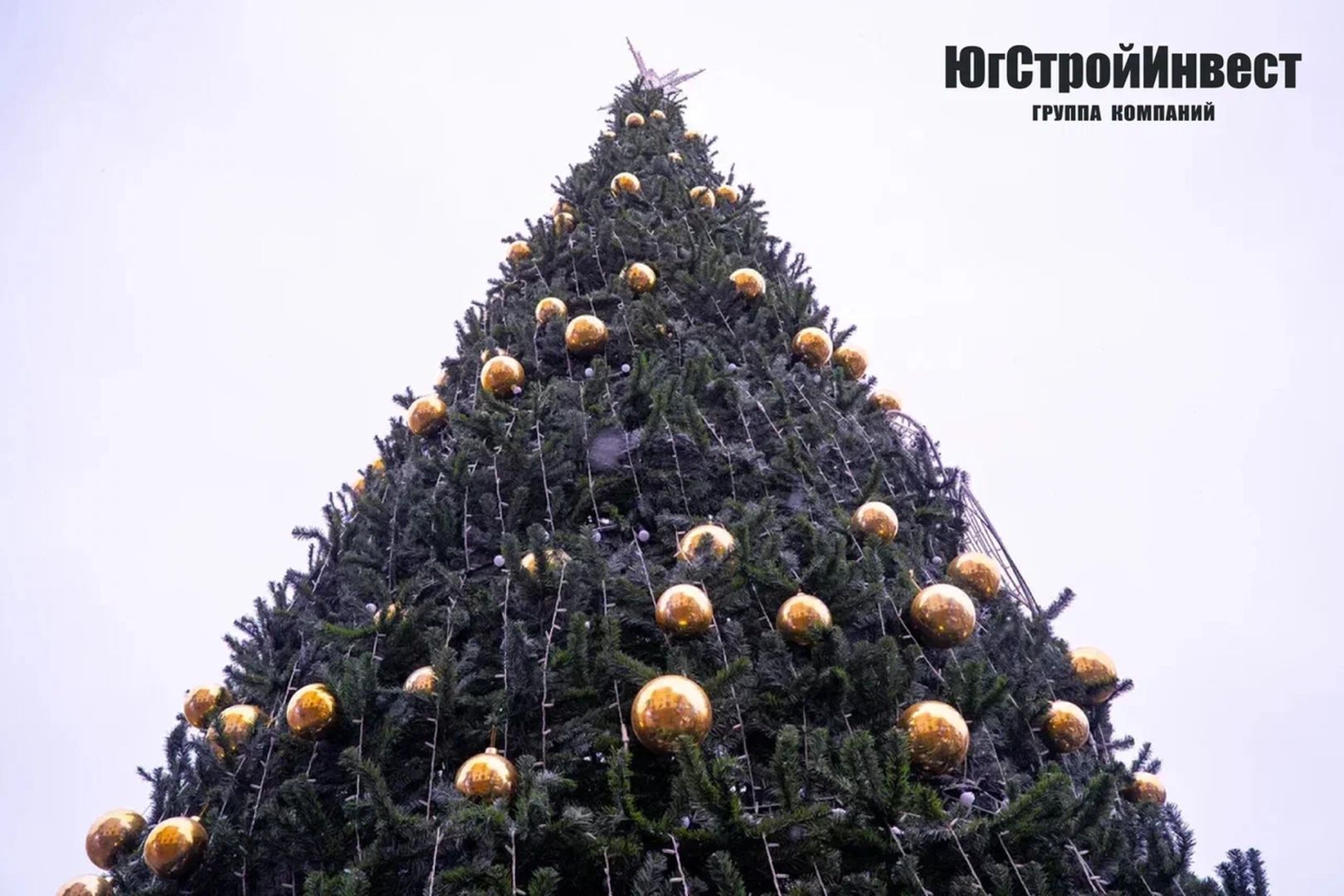 ГК «ЮгСтройИнвест» приняла участие в торжественном открытии новогодней елки в Кисловодске