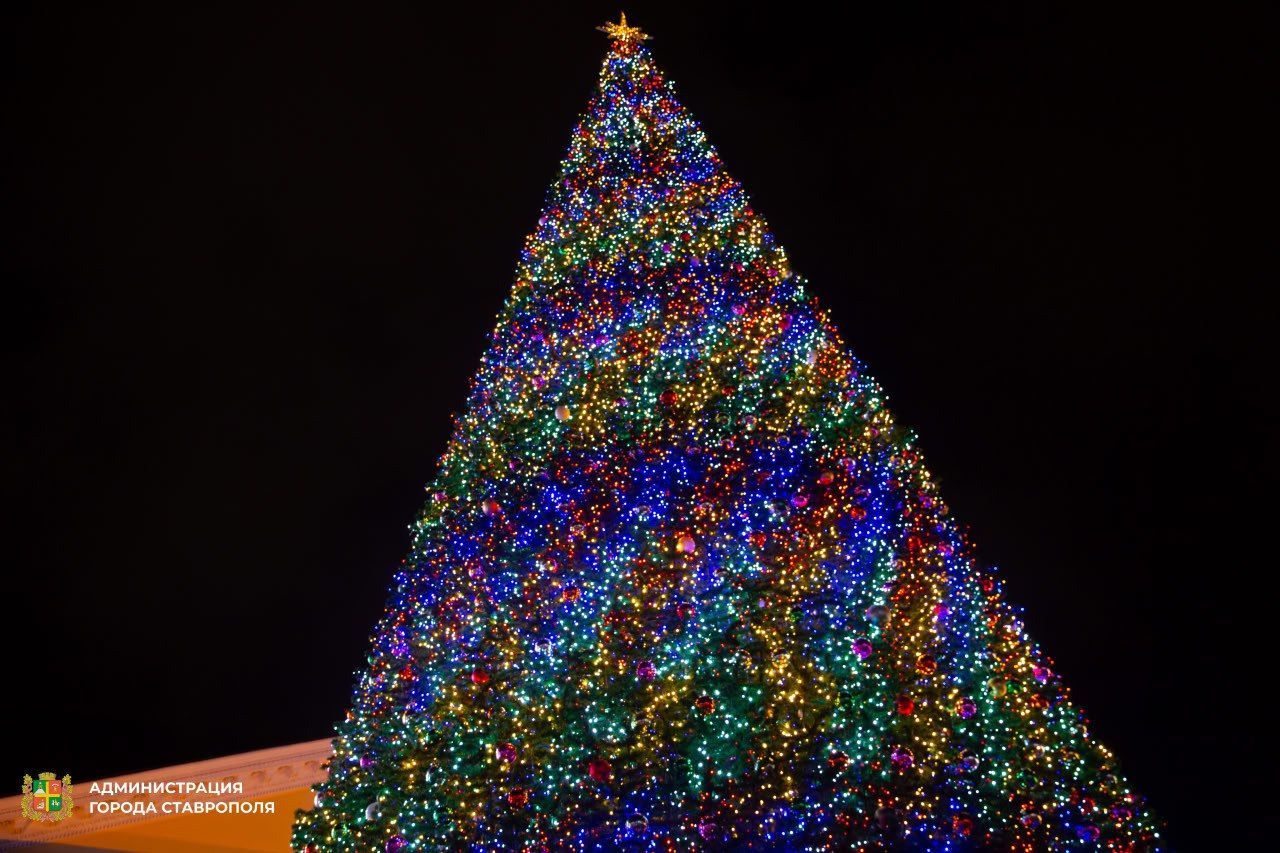 В Ставрополе 19 декабря зажгут огни на главной новогодней ёлке
