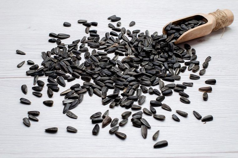 72 мешка контрафактных семечек на миллион рублей изъяли у бизнесмена в Ставрополе