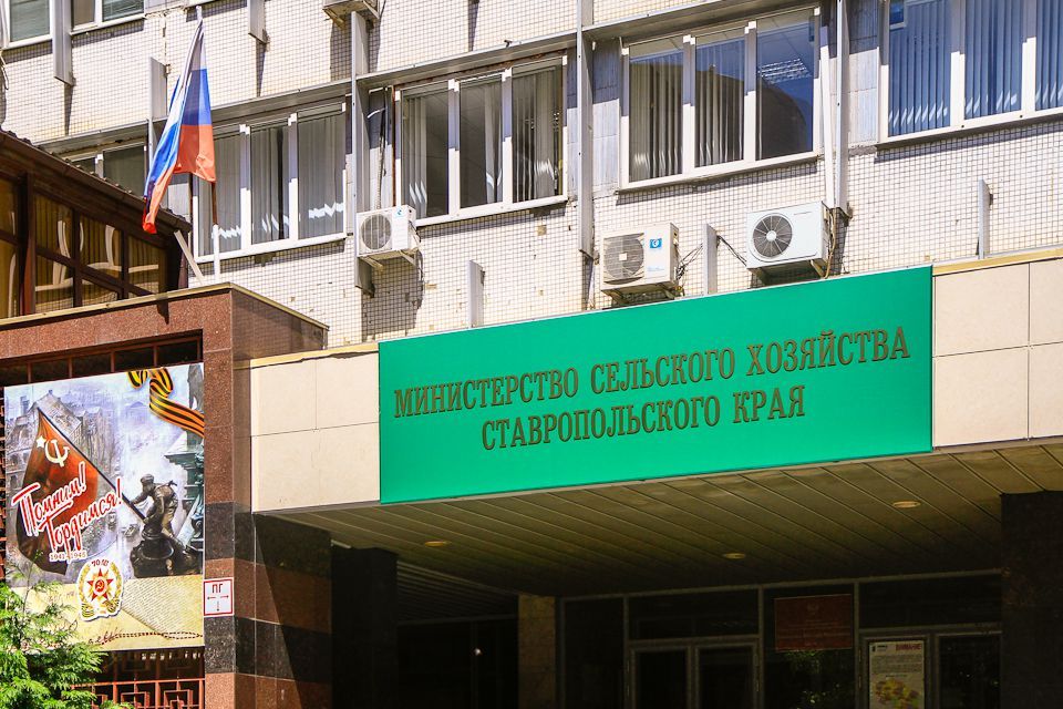 Минсельхоз ставропольского края. Минсельхоз ставропольского края. Минсельхоз ставрополь. Минсельхоз ставрополь. Минсельхоз ставрополь.