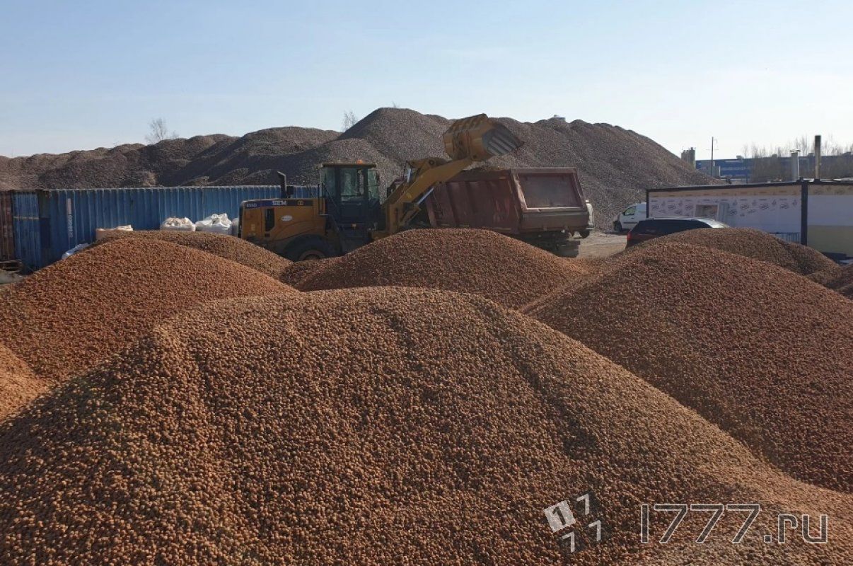Овощехранилище полуподземное. Укладка навалом. Полувагон с щебнем. Овощехранилище 3000 тонн. Овощехранилище 3000 тонн.