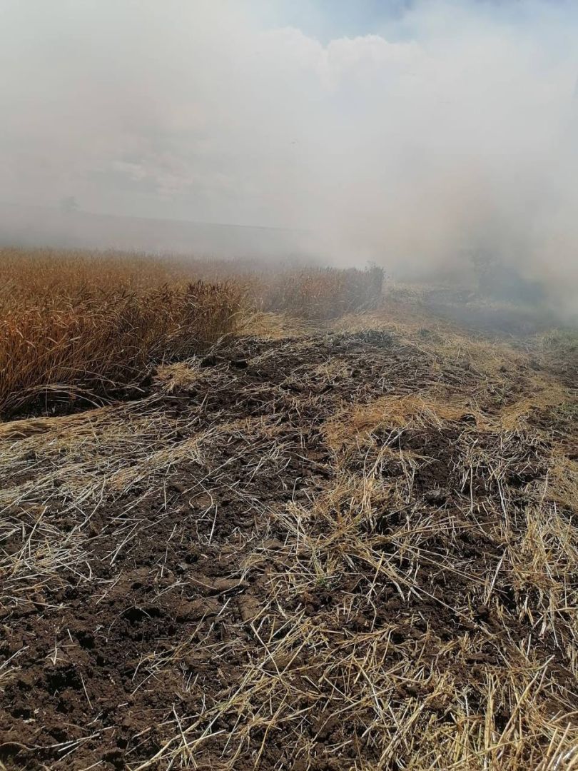 Фермеры помогли спасти урожай от огня в селе на Ставрополье