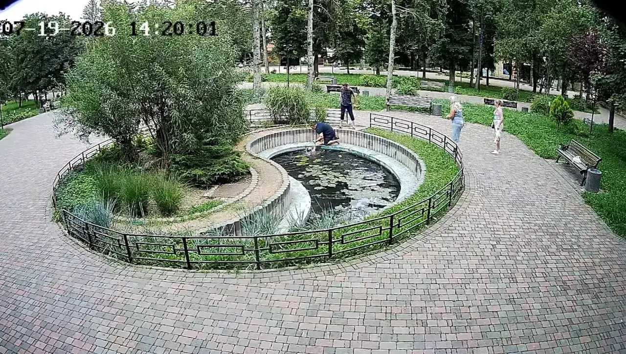 В Ессентуках спасли упавшего в пруд ребёнка