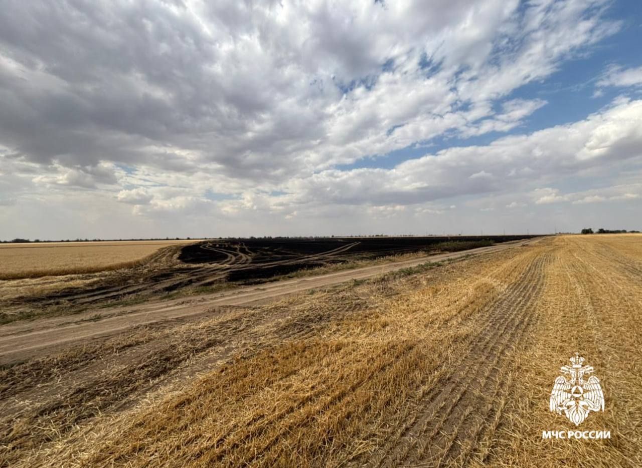 Возгорание пшеницы в Левокумском округе полностью потушено