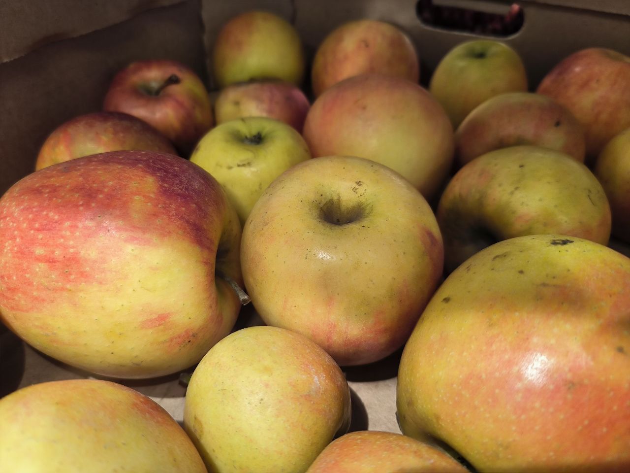 Ярмарка выходного дня пройдет в Ставрополе