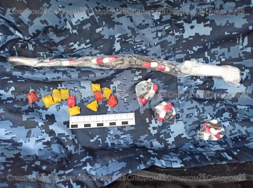 Бывший инспектор ставропольской колонии пытался пронести наркотики заключённому за 15 тыс. рублей