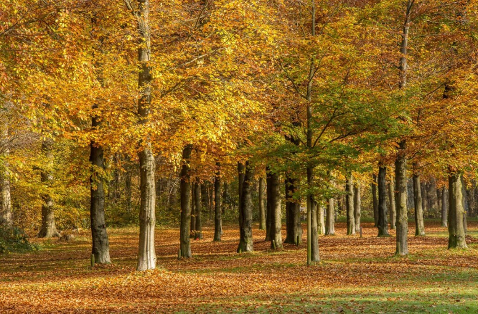 Теплая погода продолжит радовать ставропольцев в начале недели