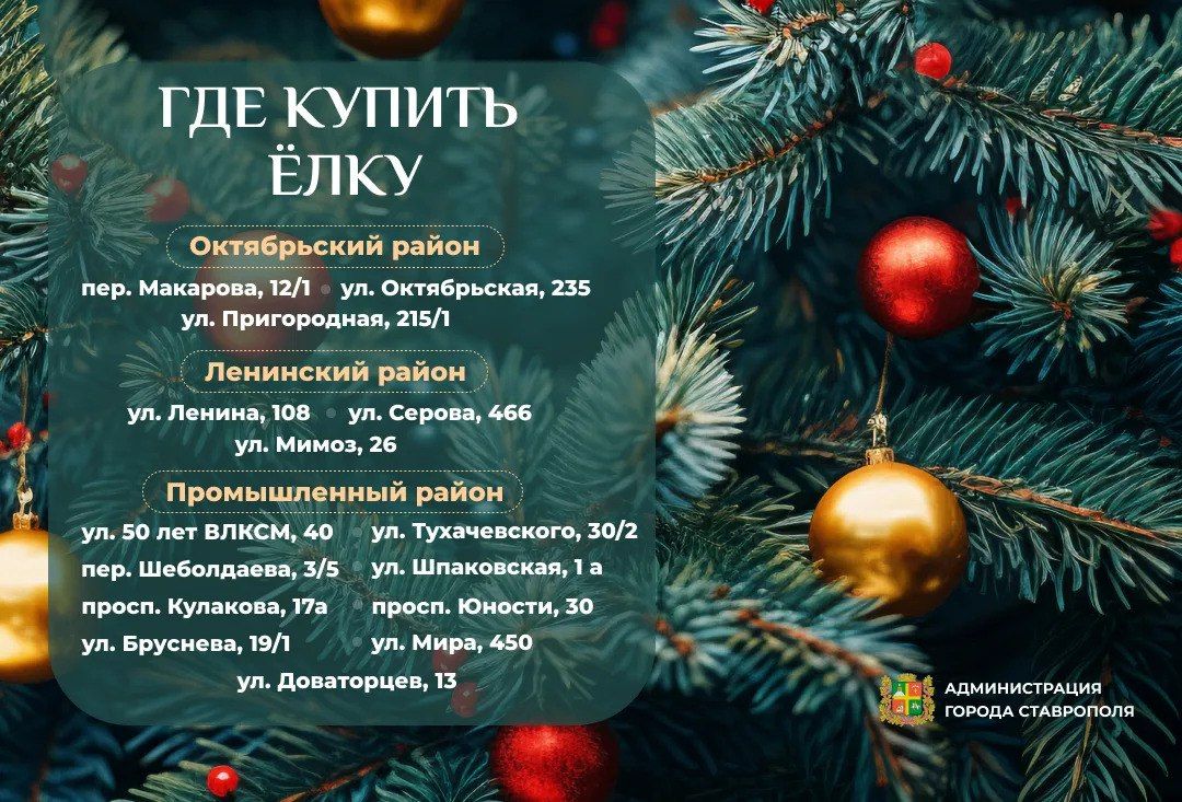 Целых 15 ёлочных базаров откроются в Ставрополе в преддверии Нового года