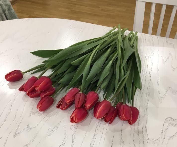 Жители Ставрополья смогут купить к 8 марта голландские тюльпаны по цене от 35 рублей