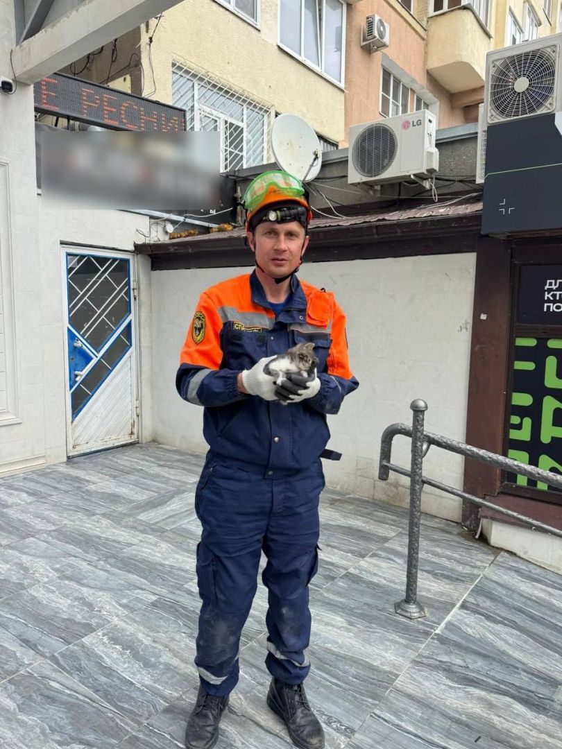 В Ставрополе спасли застрявшего на крыше магазина котёнка