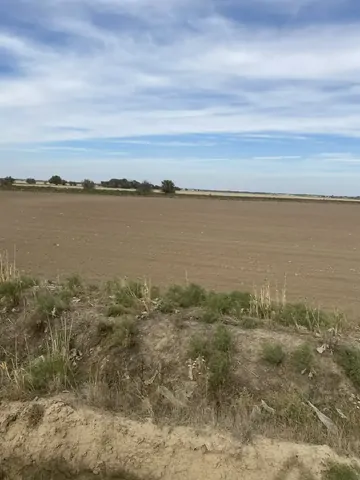 Ставропольский фермер получил условный срок и штраф за обман Минсельхоза на 5,4 млн рублей