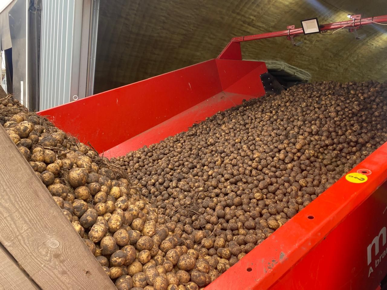 На Ставрополье на 53% завершили уборку картофеля