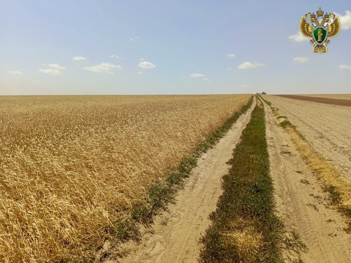 Ставропольского предпринимателя оштрафовали на 50 тыс. рублей за нарушение рекультивации земель