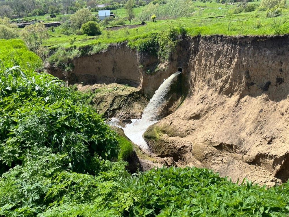 На Ставрополье выясняют причины массовой гибели рыбы в прудах